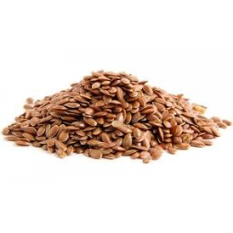 Flax Seeds (Linseeds)