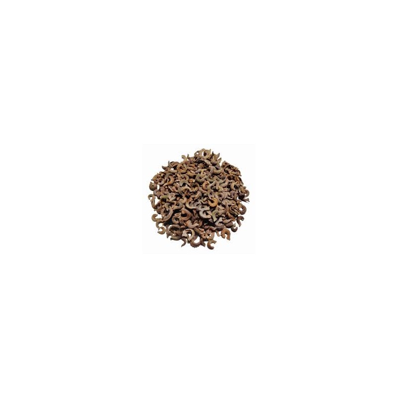 Pot Marigold (Calendula L.)